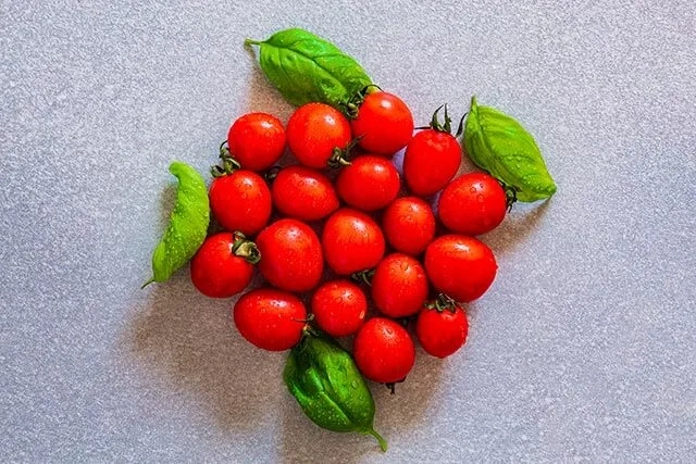Home harvest cherries and basil